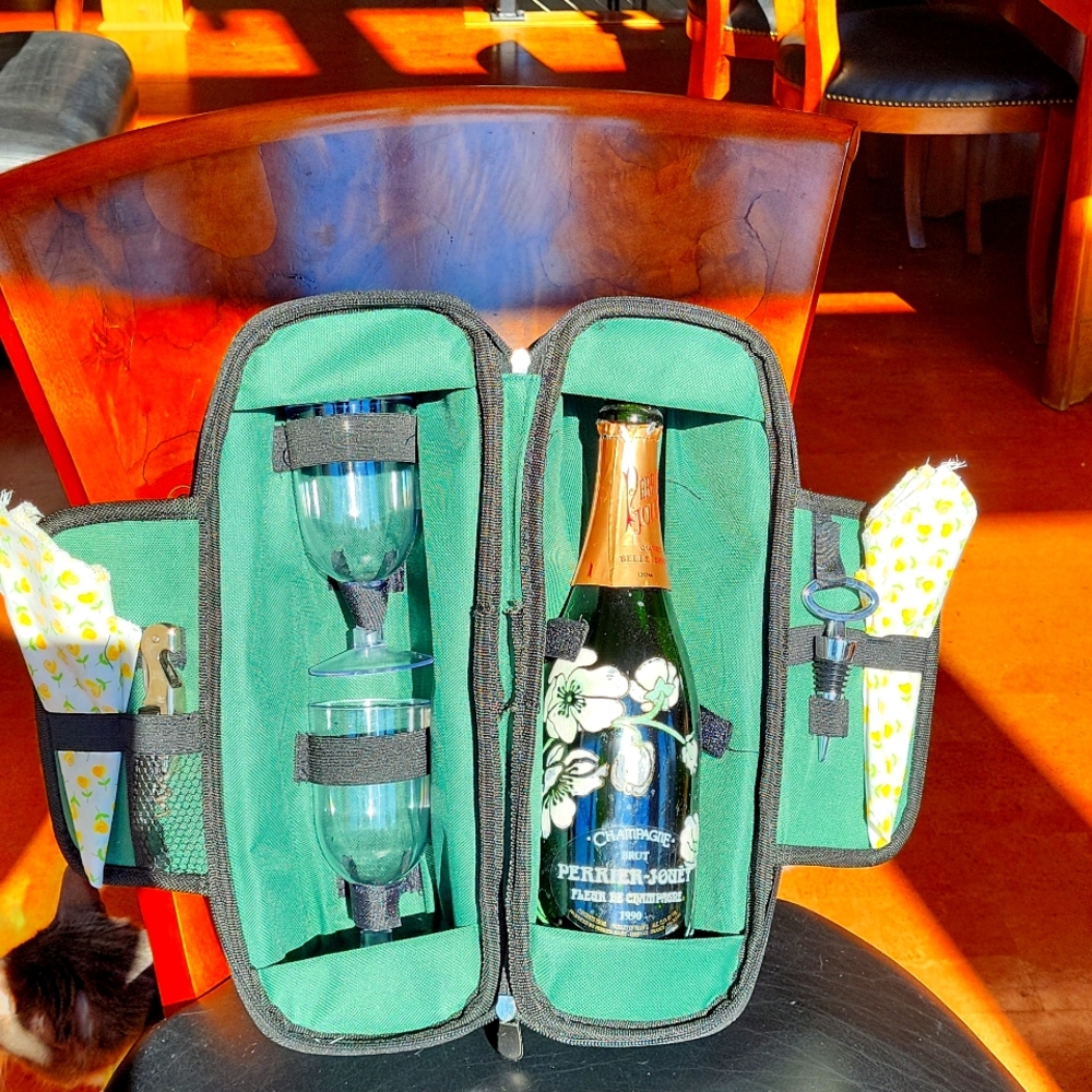 Picnic Insolated Wine Bag and Glass Set/Accessories